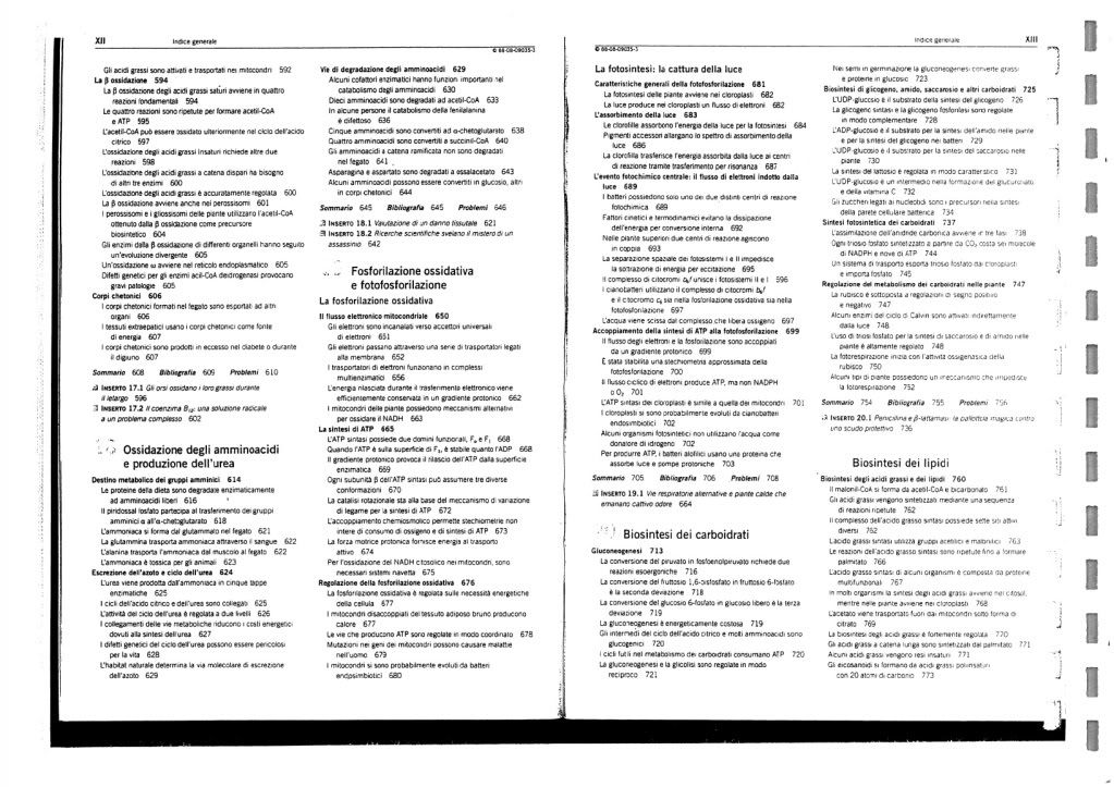 I Principi Di Biochimica Di Lehninger